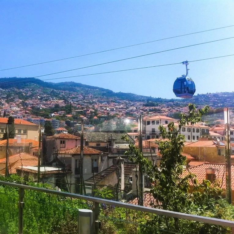 madeira-story-centre-rooftop-3