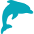 dolphin